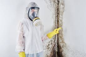  Paulsboro, NJ Mold Remediation Pros